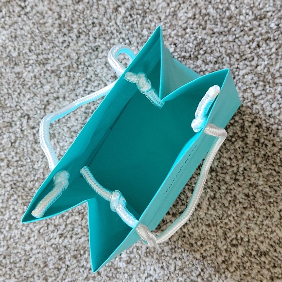 Small Tiffany & Co bag - Picture 3 of 7